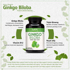 Vokin Biotech Ginkgo Biloba with Brahmi Boosts Concentration & Learning Activities | Grocsy