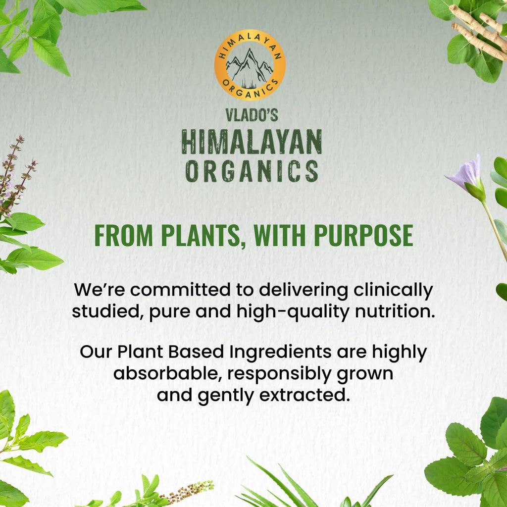 Himalayan Organics Korean Ginseng 800 mg Vegetarian Capsules | Grocsy