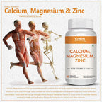 Vokin Biotech Calcium, Magnesium, Zinc, D3 & B12-Tablets | Grocsy