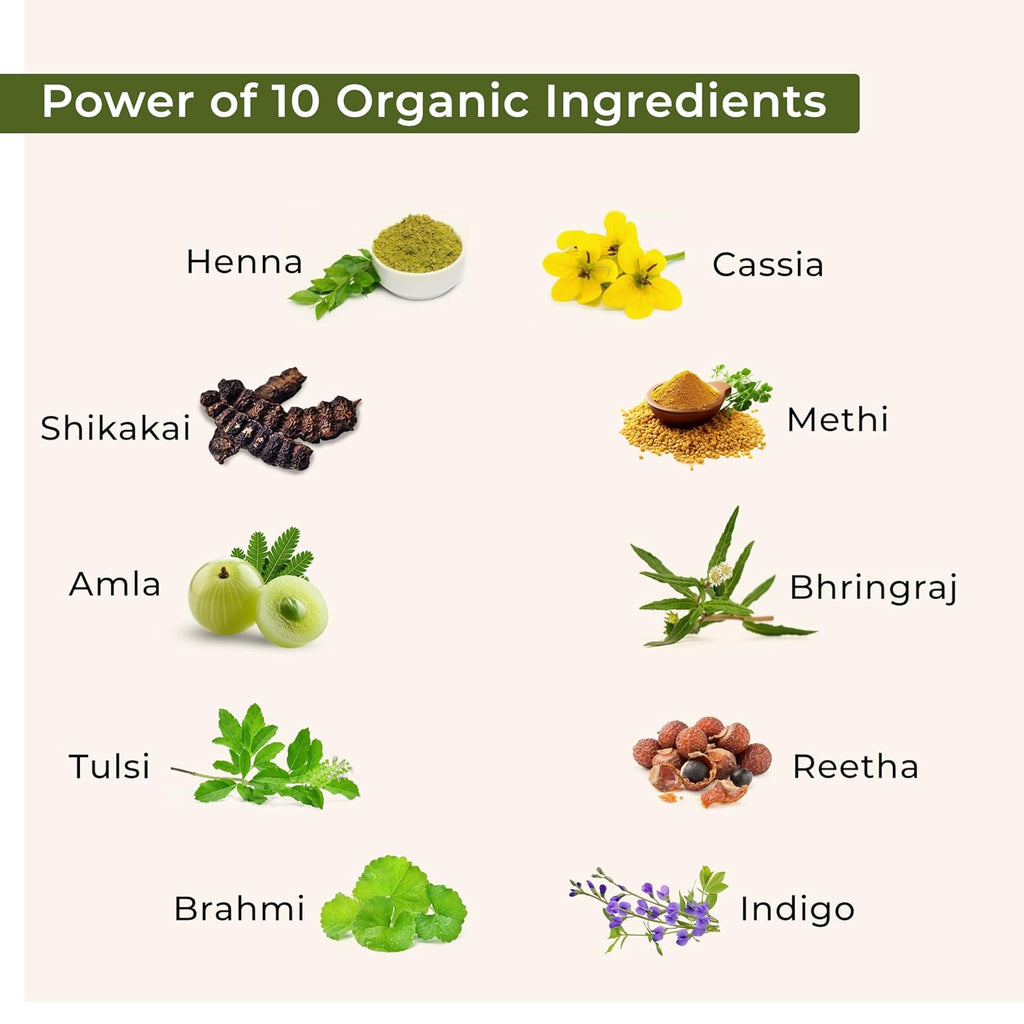 Indus Valley Bio Organic 100% Pure Indigo Powder & Herbal Henna Powder Hair Color Combo Kit for Natural Hair Dyeing - Black Indigo - 100 gm Each Without Preservatives | Grocsy