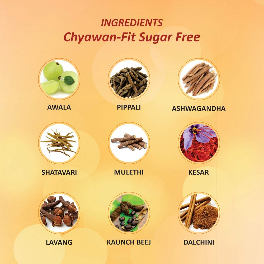 Baidyanath Chyawan-Fit Sugarfree | Grocsy