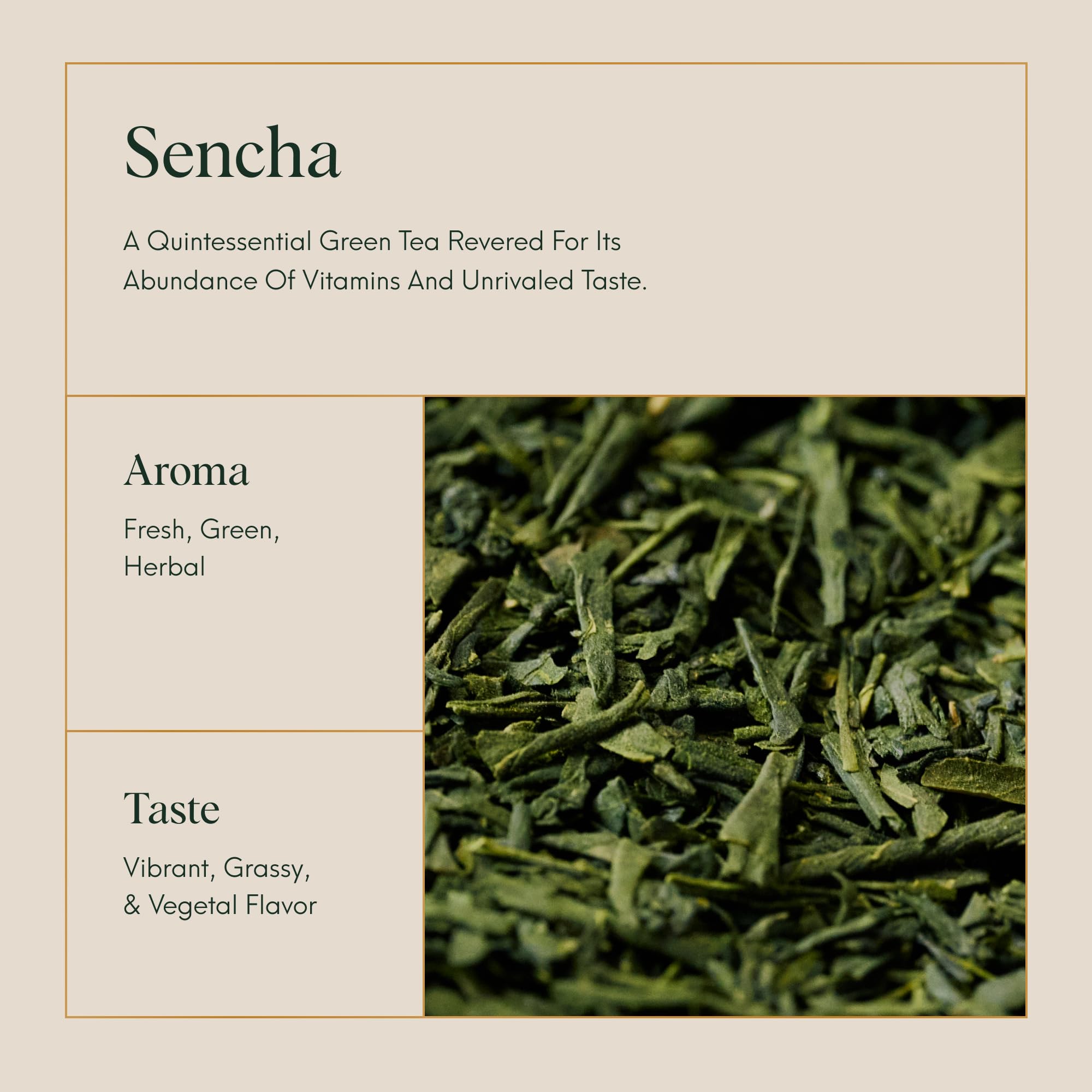 ILEM JAPAN Sencha Green Tea Bags | Grocsy