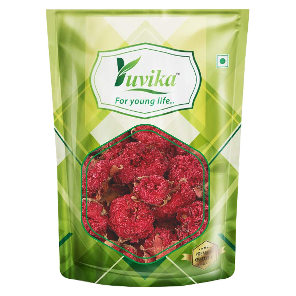 Yuvika Gule Anar - Punica Granatum - Pomegranate Flower | Grocsy