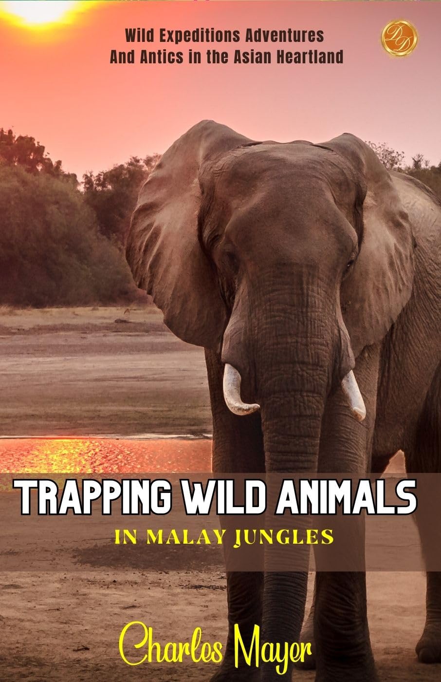 Trapping Wild Animals In Malay Jungles | Grocsy