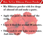 Attar Ayurveda Hibiscus Powder | Grocsy
