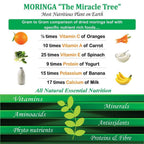 Attar Ayurveda Moringa Powder | Grocsy