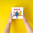 Pocket Board Book Set Of Abc, Numbers, Fruits, Vegetables, Wild Animals, Birds - Kids Educational Board Book, Preschool Learning Books, Preschool Kids Books Children | Books | Grocsy