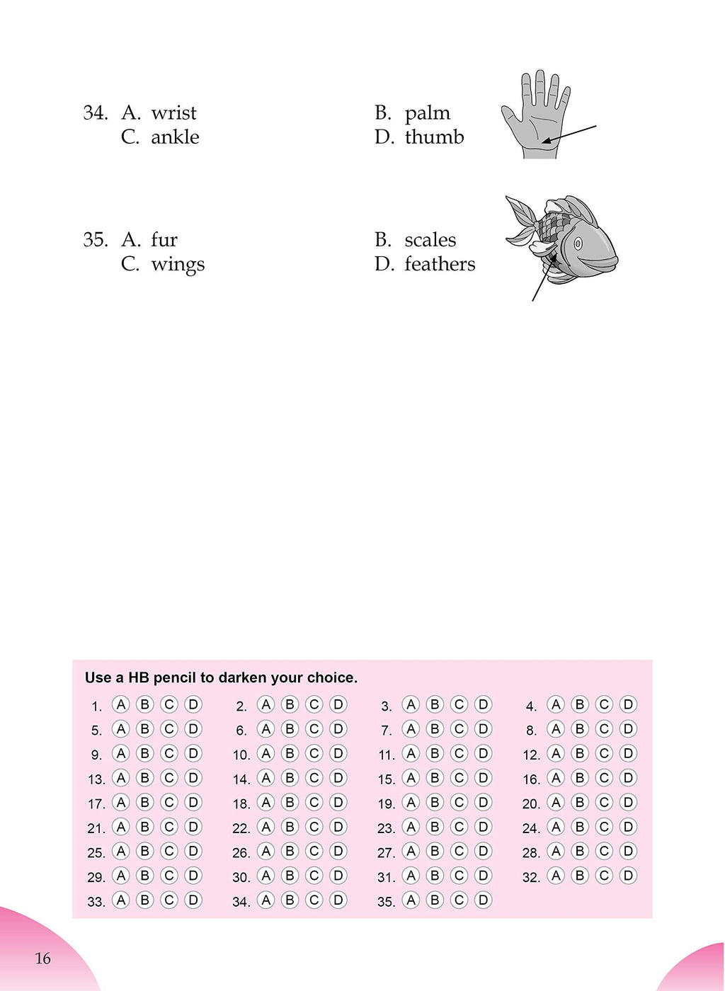English Olympiad Challenger-2. | Grocsy
