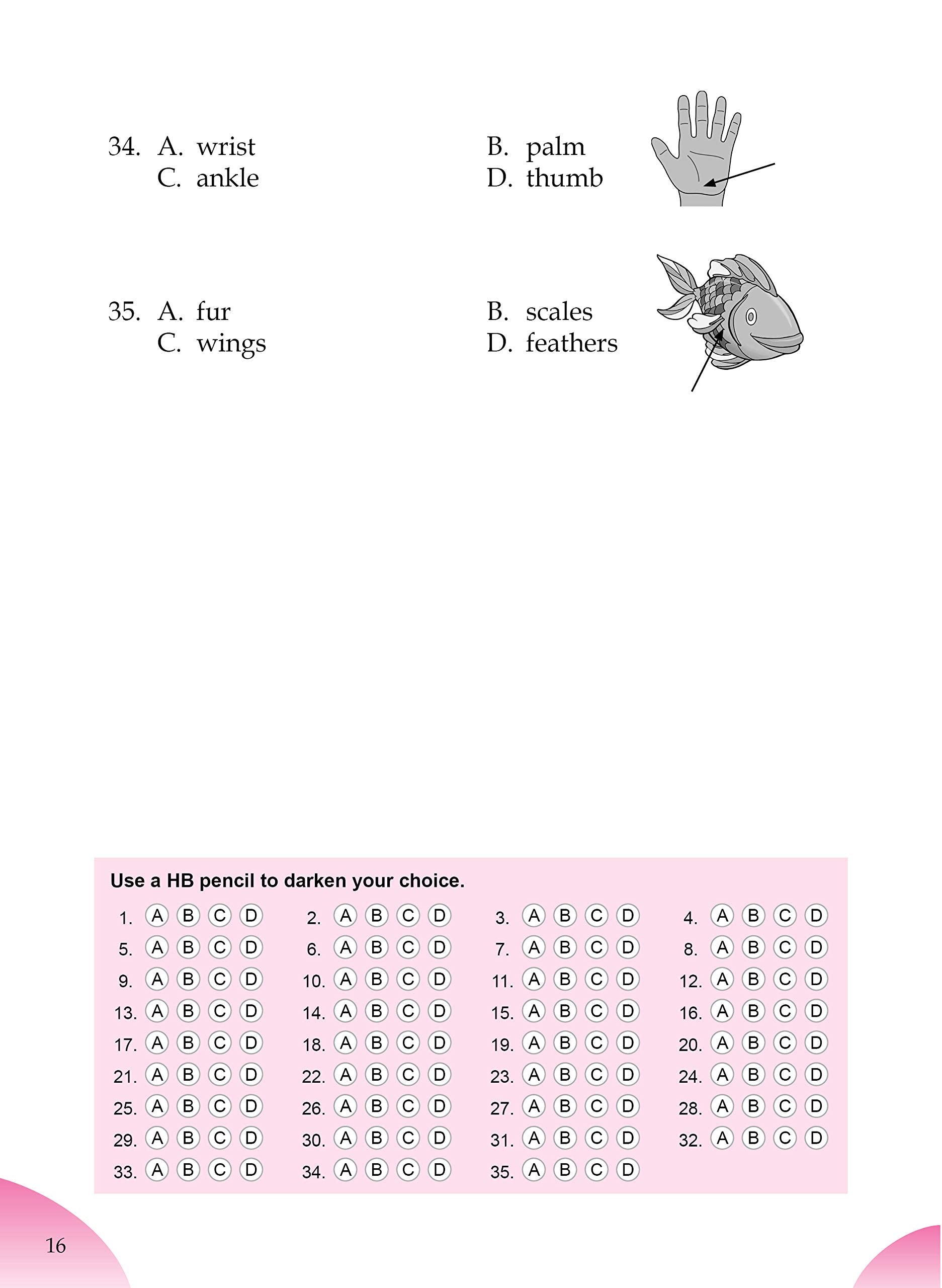 English Olympiad Challenger-2. | Grocsy