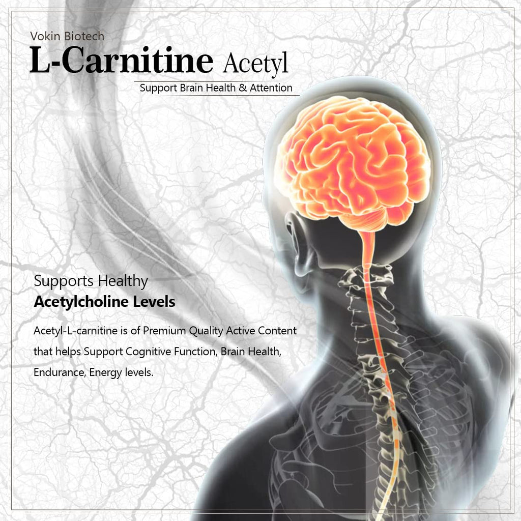 Vokin Biotech L-Carnitine Acetyl (ALCAR)- Support Brain Health- 500 mg | Grocsy