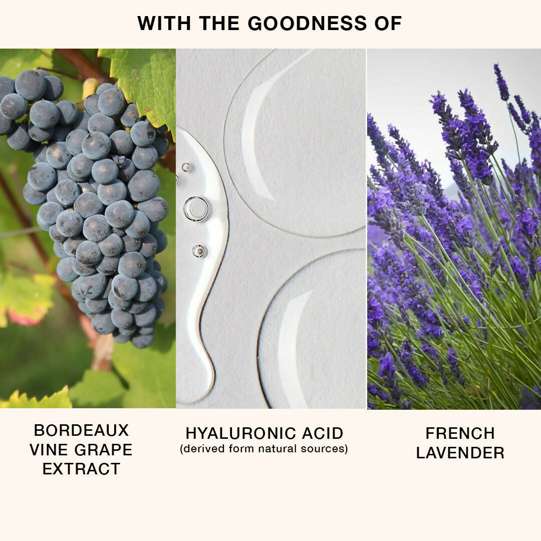 Skog Body Lotion (With Bordeaux Vine Grape Extract) | Grocsy