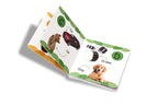 My First Library (Box Set Of 10 Board Books) | Grocsy