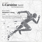 Vokin Biotech L-Carnitine Acetyl (ALCAR)- Support Brain Health- 500 mg | Grocsy