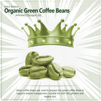 Vokin Biotech Organic Green Coffee Beans Decaffeinated & Unroasted Arabica Coffee For Weight Management | Grocsy