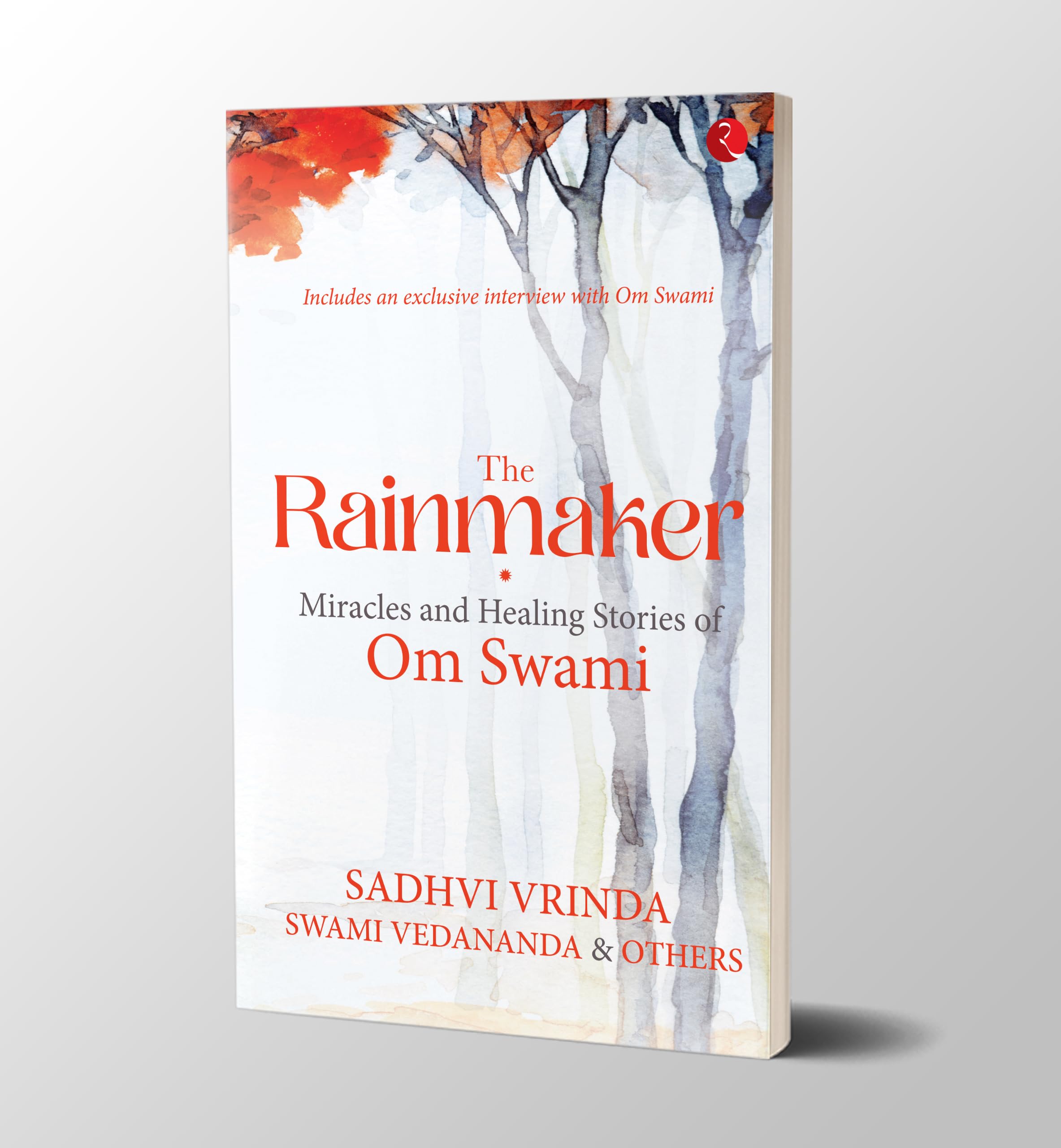 The Rainmaker: Miracles And Healing Stories Of Om Swami | Grocsy