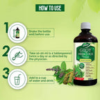 Dabur Giloy Neem Juice with Tulsi | Grocsy