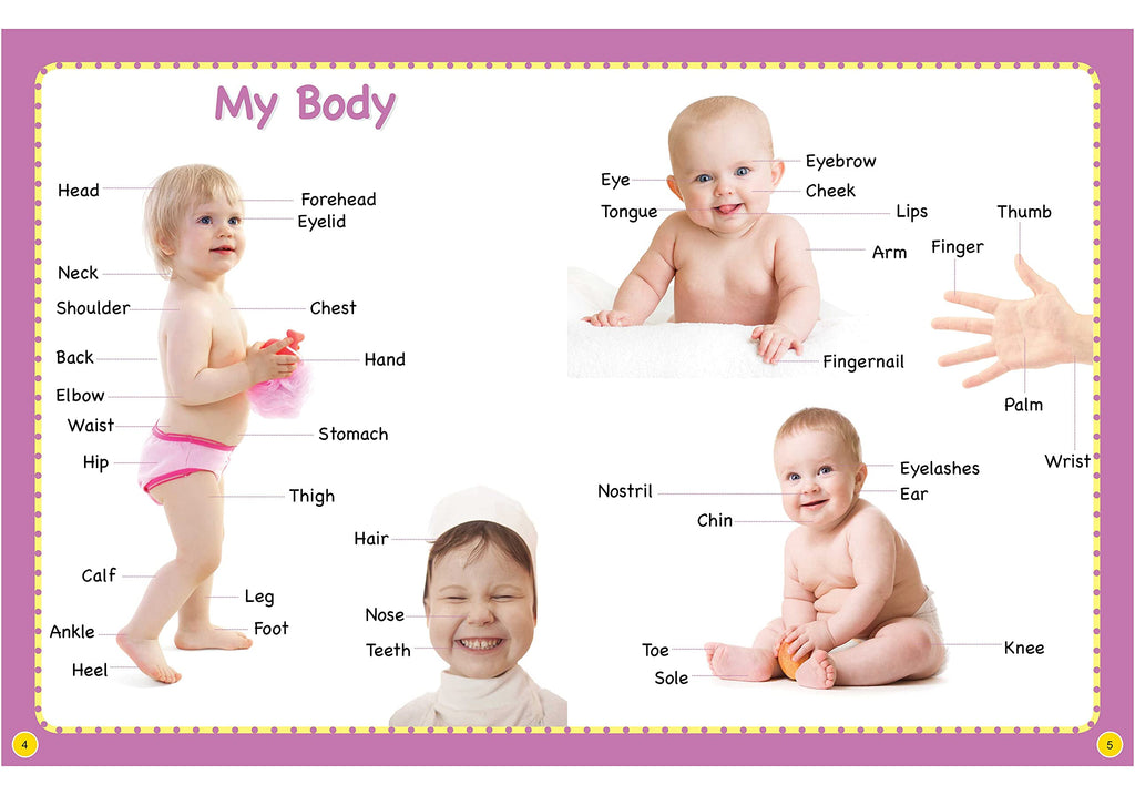 My First 1000 Words Board Book | Grocsy