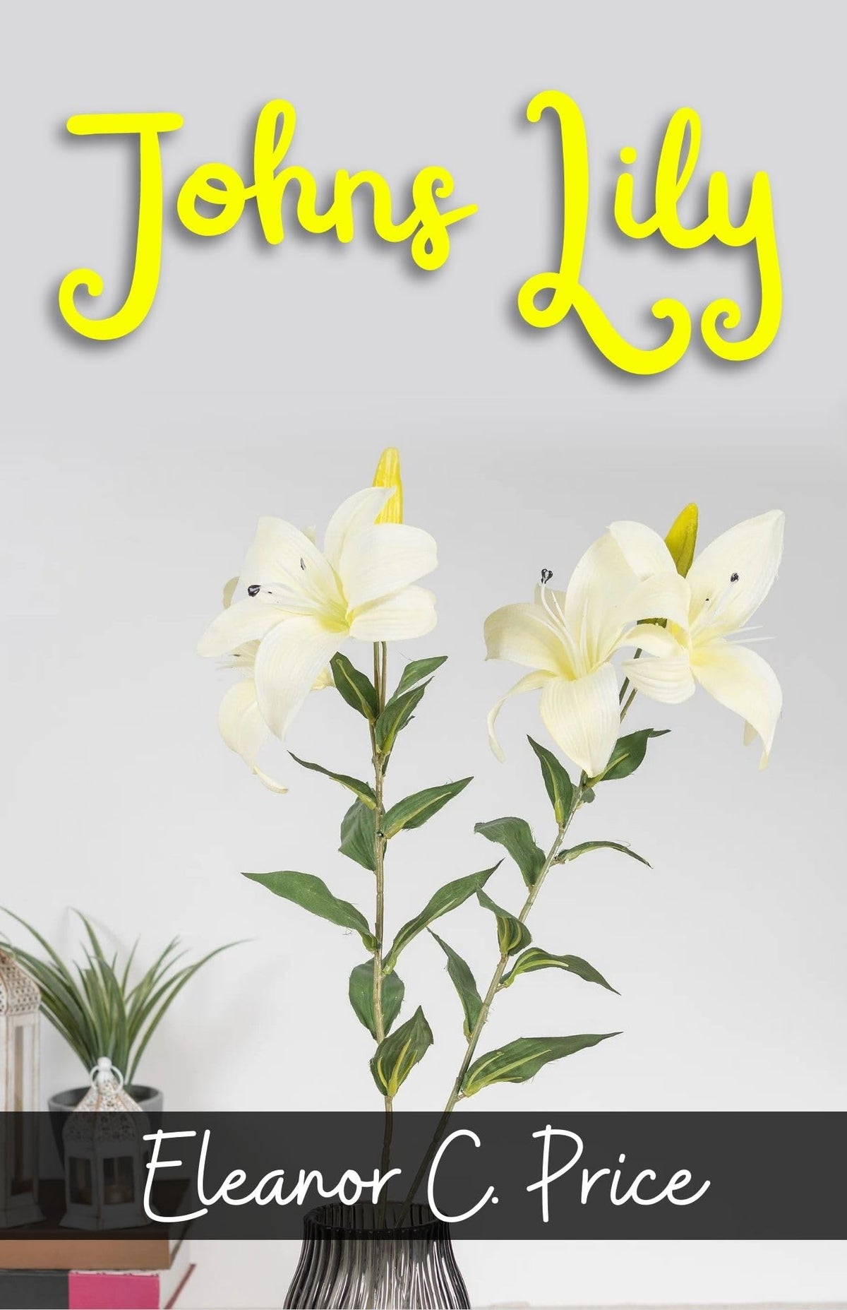 Johns Lily By Eleanor C. Price: A Heartwarming Tale Of Love And Resilience | Grocsy