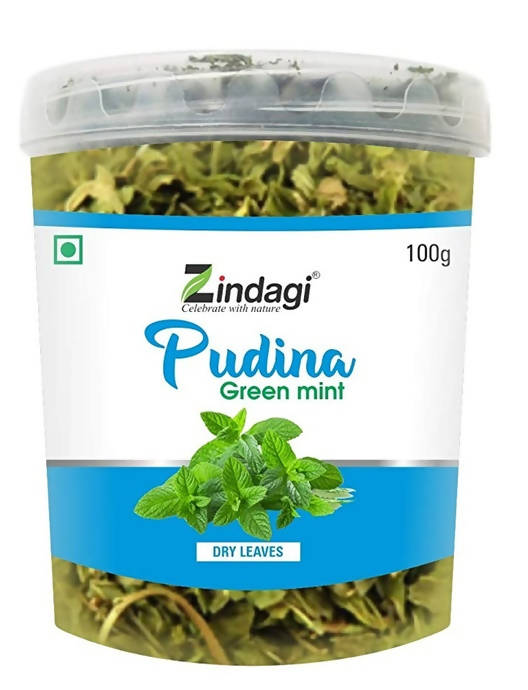 Zindagi Pudina Green Mint Dry Leaves | Grocsy