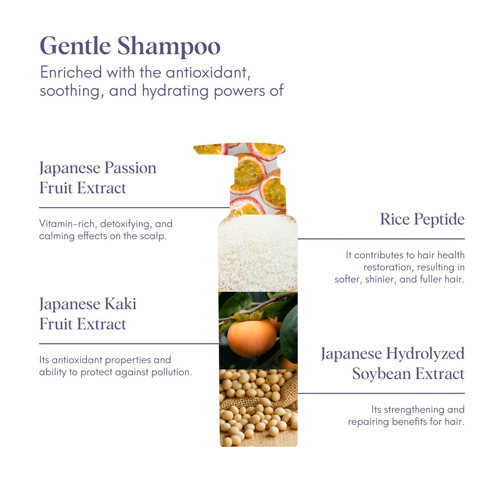 ILEM JAPAN Gentle Mild Japanese Shampoo | Grocsy