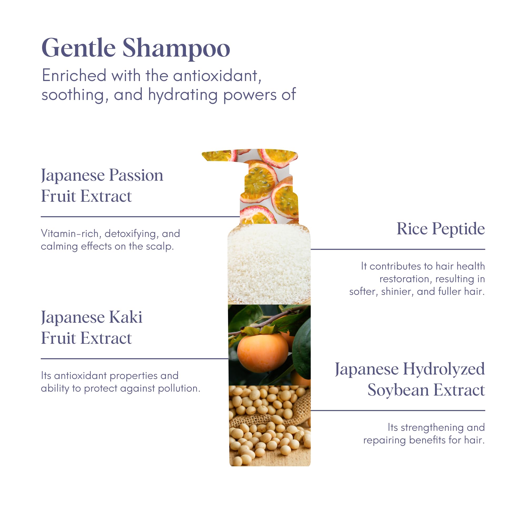 ILEM JAPAN Gentle Mild Japanese Shampoo | Grocsy