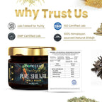 Exotic Leaf Gold SJ Resin