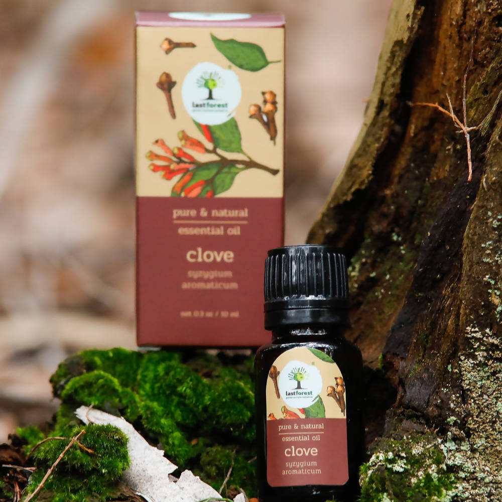 Lastforest Therapeutic Essential Oil Clove | Grocsy
