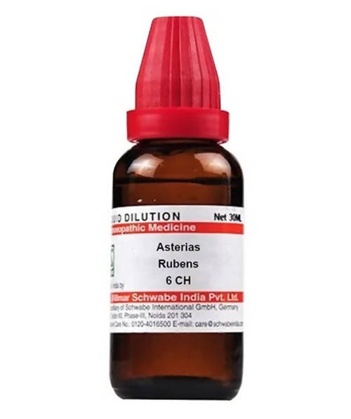 Dr. Willmar Schwabe India Asterias Rubens Dilution | Grocsy