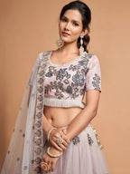 Tulsi Art Brilliant Grey Zari Embroidered Net Party Wear Lehenga Choli | Grocsy