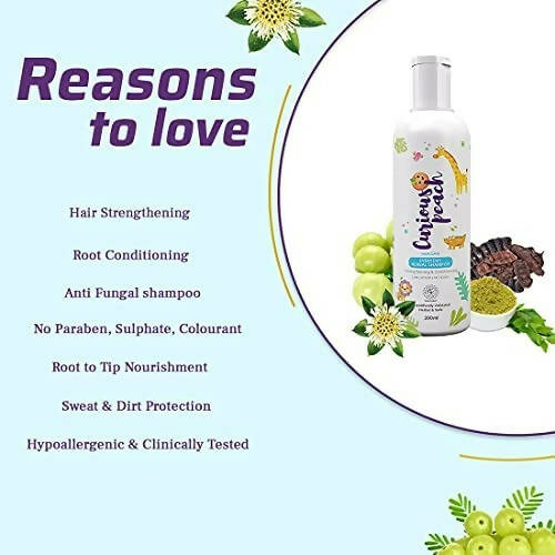 Curious Peach Everyday Herbal Shampoo | Grocsy
