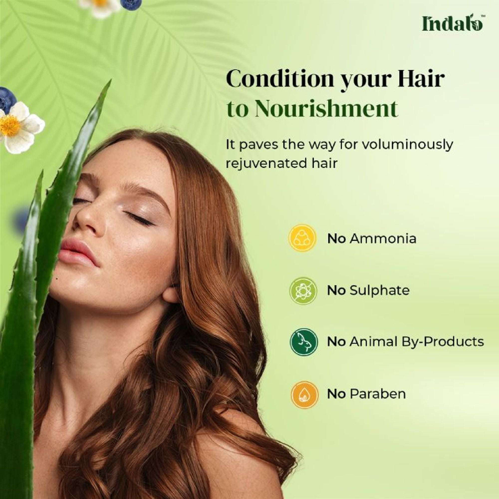 Indalo White Tea Aloe Vera Conditioner For Oily Hair | Grocsy