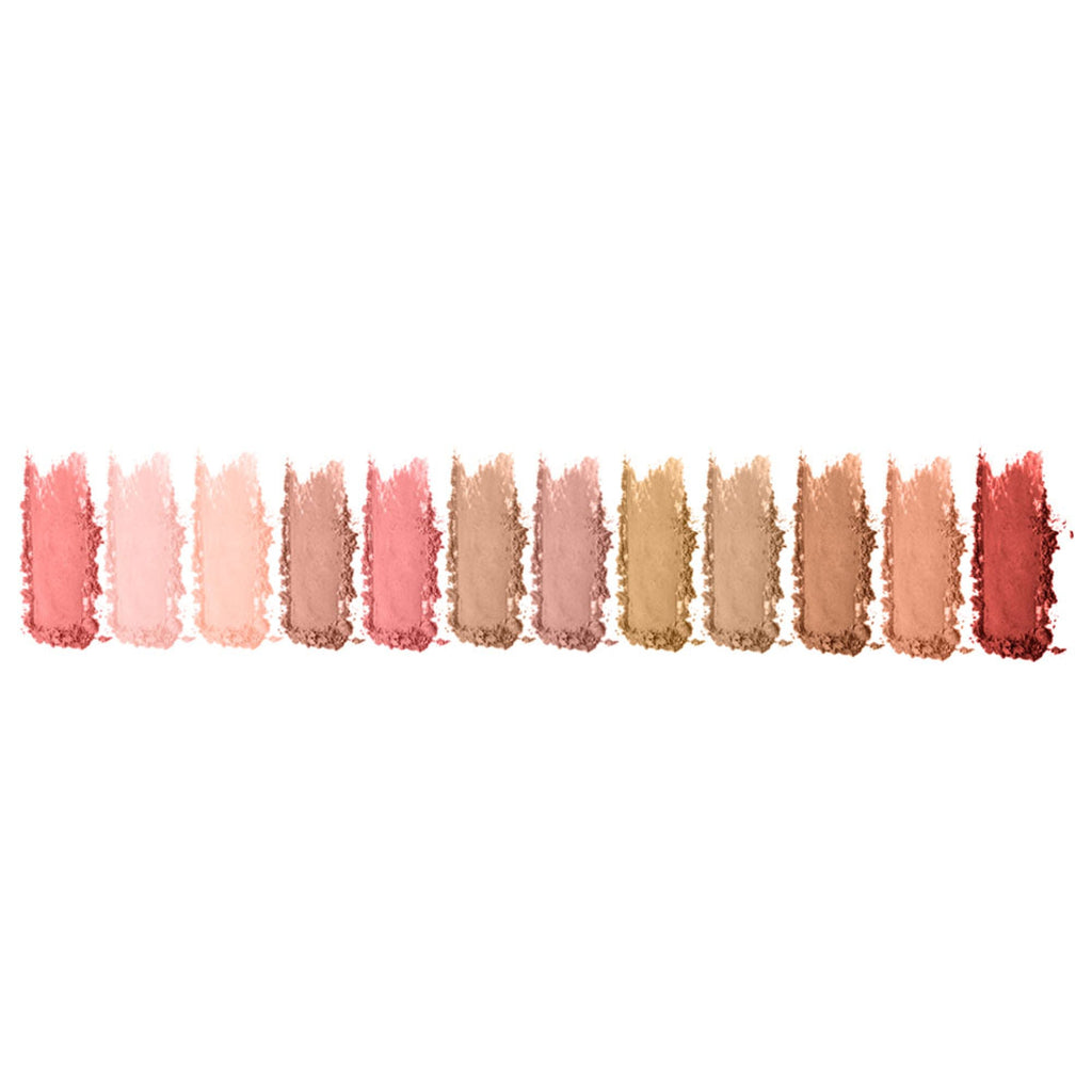 Character Majestic Blush Palette - Mbp001 | Grocsy