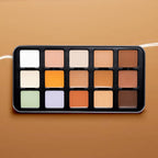 Character Pro Concealer Palette C-A302 | Grocsy