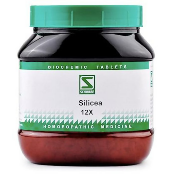 Dr. Willmar Schwabe India Silicea Biochemic Tablets | Grocsy