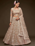 Tulsi Art Ravishing Beige Embroidered Soft Net Ceremony Wear Lehenga Choli | Grocsy