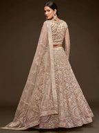 Tulsi Art Ravishing Beige Embroidered Soft Net Ceremony Wear Lehenga Choli | Grocsy