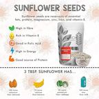 Sorich Organics Raw Flax Seeds & Sunflower Seeds Superfood Combo | Grocsy
