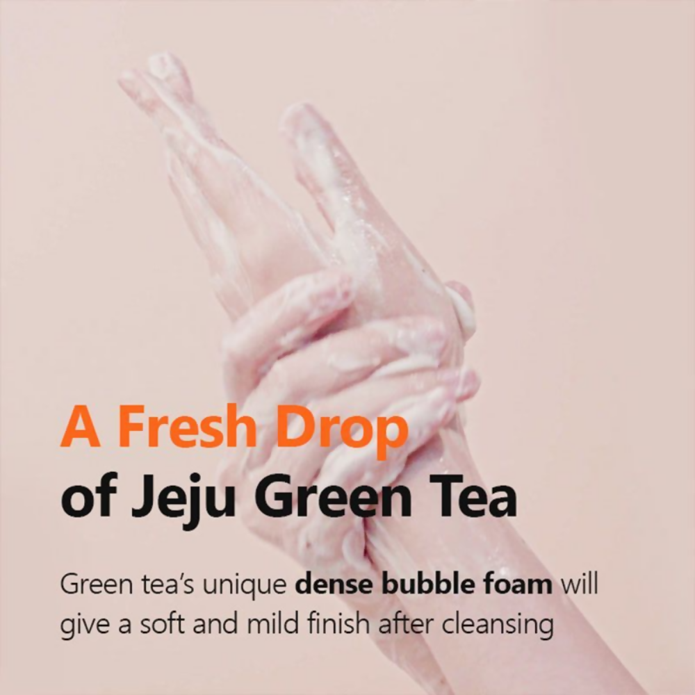 Isntree Green Tea Fresh Cleanser | Grocsy