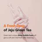 Isntree Green Tea Fresh Cleanser | Grocsy