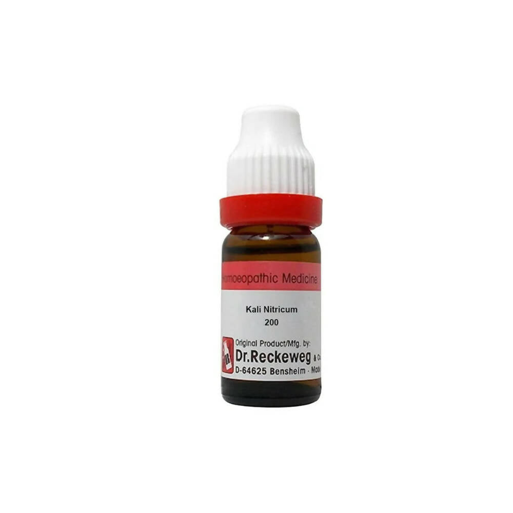 Dr. Reckeweg Kali Nitricum Dilution | Grocsy