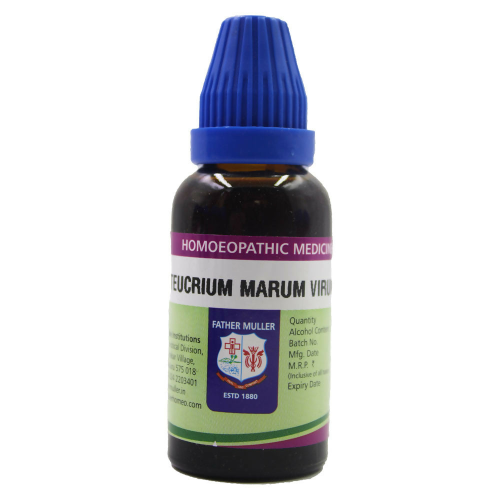 Father Muller Teucrium Marum Virum Mother Tincture Q | Grocsy