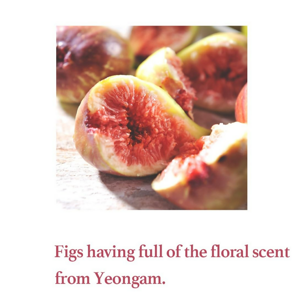 I'm From Fig Scrub Mask | Grocsy