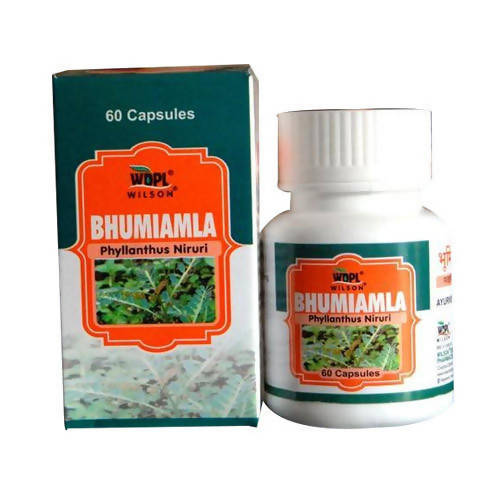 Wilson Bhumiamla Phyllanthus Niruri Capsules | Grocsy