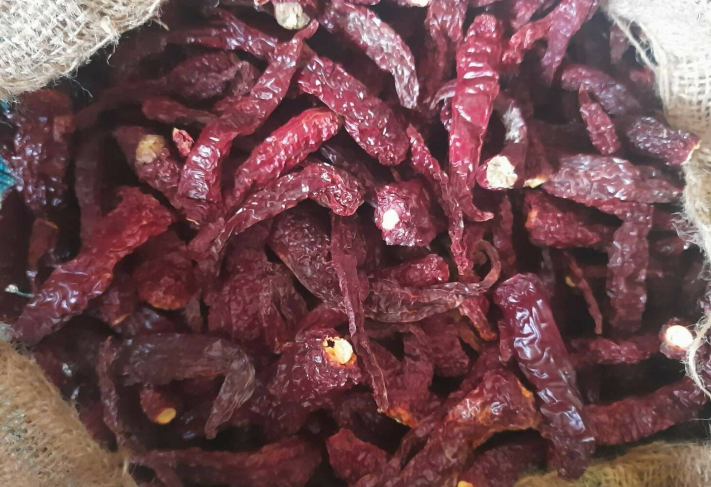 Namma Byadgi's Mirchi Kit - Dry Red Chillies & Chilli Powder | Grocsy