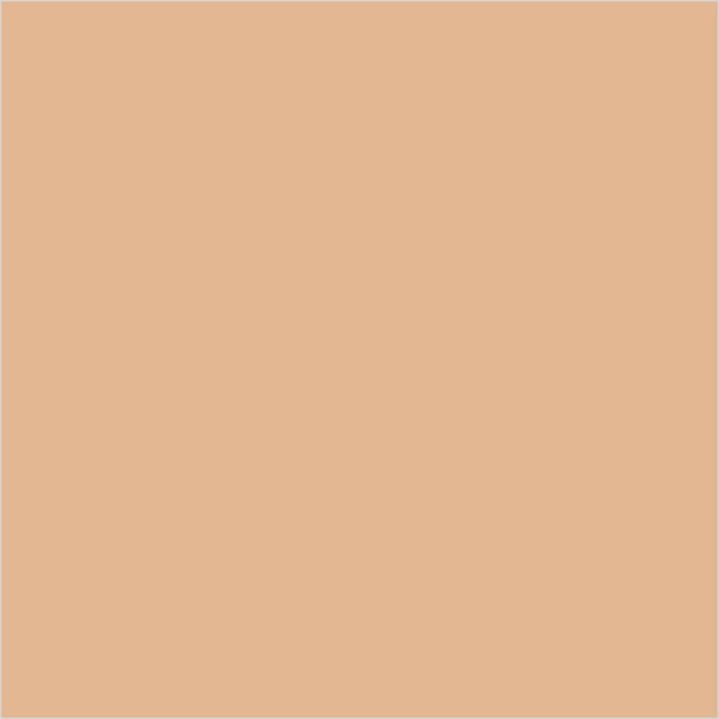 Colorbar 24Hrs Wear Weightless Powder Foundation Pf 6 | Grocsy