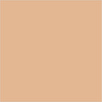 Colorbar 24Hrs Wear Weightless Powder Foundation Pf 6 | Grocsy