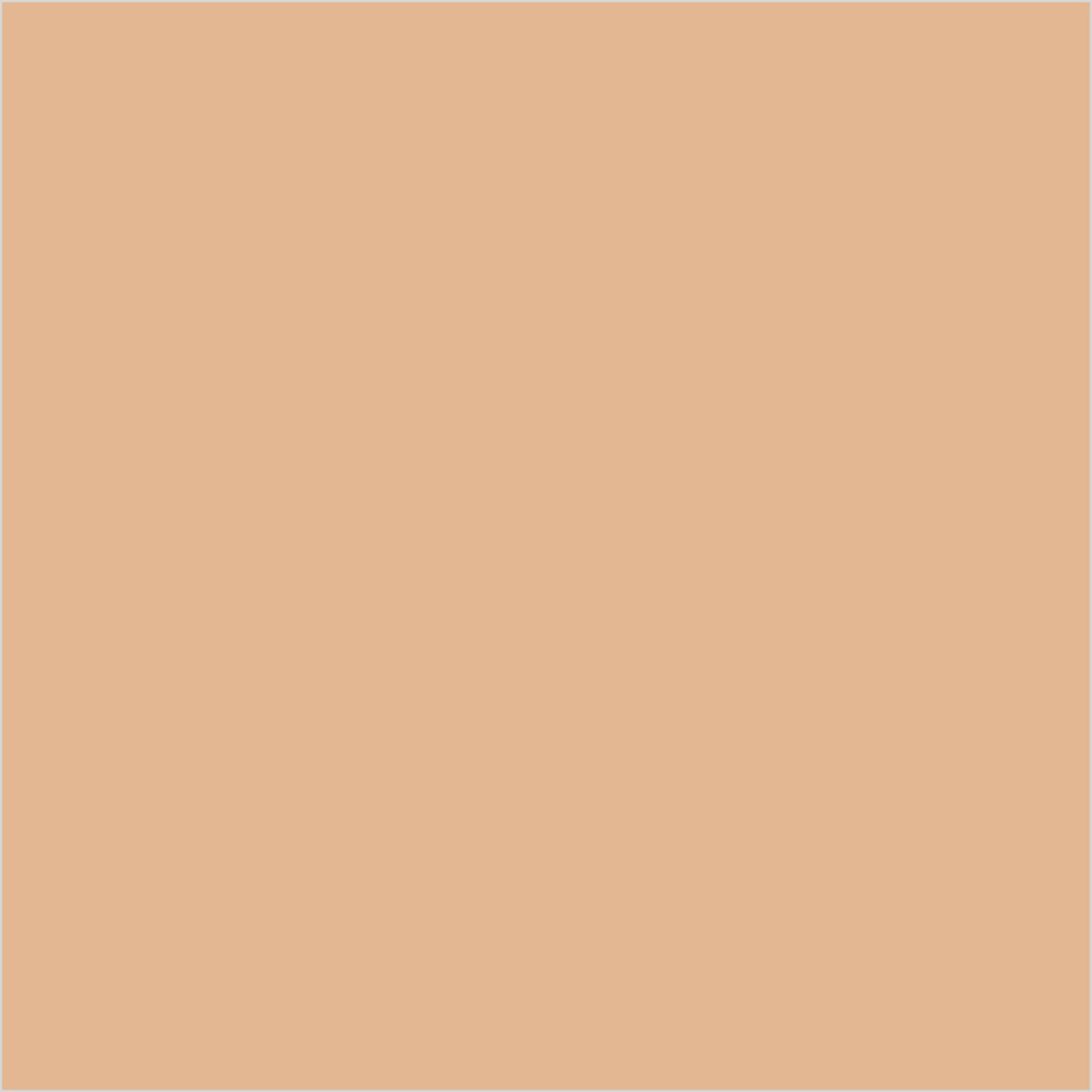 Colorbar 24Hrs Wear Weightless Powder Foundation Pf 6 | Grocsy