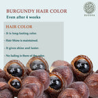Buddha Natural Burgundy Hair Color Powder | Grocsy