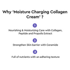 Dewytree Moisture Charging Anti-Ageing Collagen Korean Cream | Grocsy