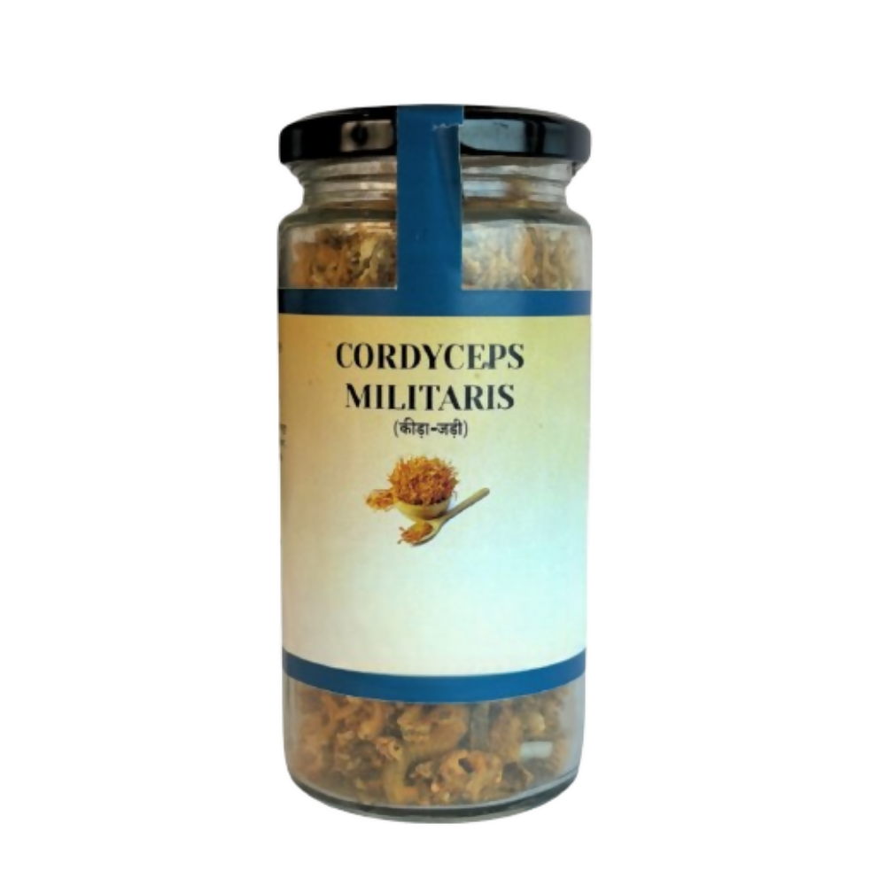 The Mush Supply Agro Farms Cordyceps Dried Fruiting Body | Grocsy